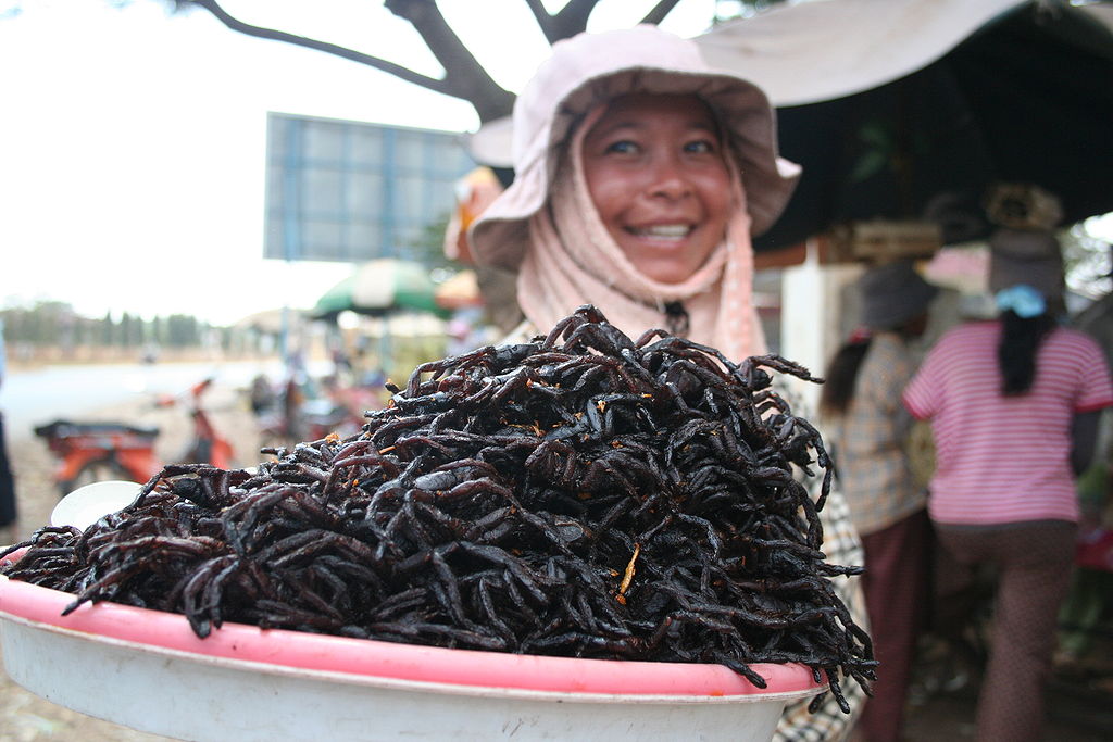 Fried Tarantula